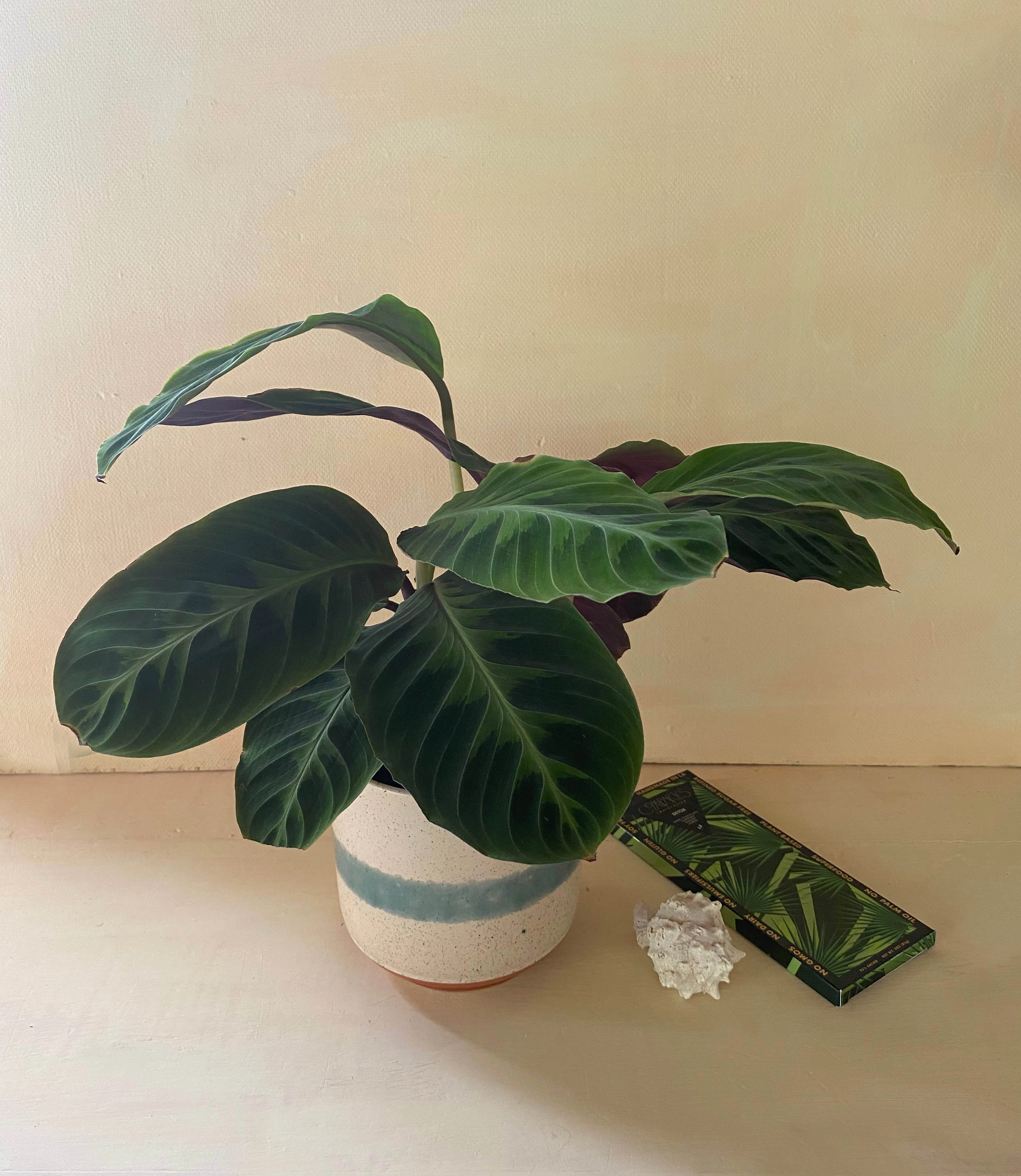 Original by BLOMST Los Angeles — flowers available for delivery from Floom