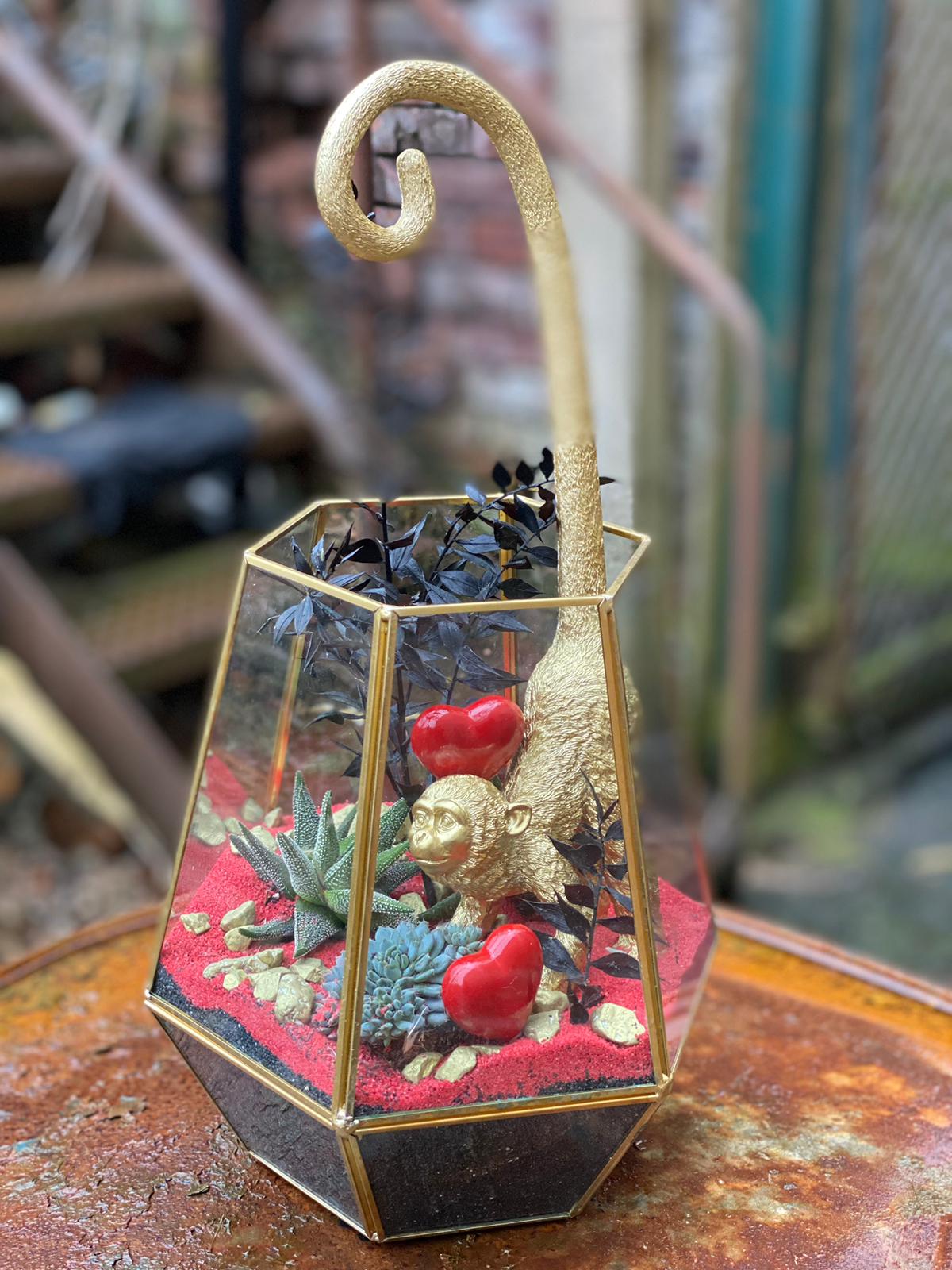 Monkey Mad Terrarrium