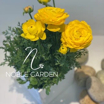 Original by Noble Garden Florist Marina Del Ray — flowers available for delivery from Floom