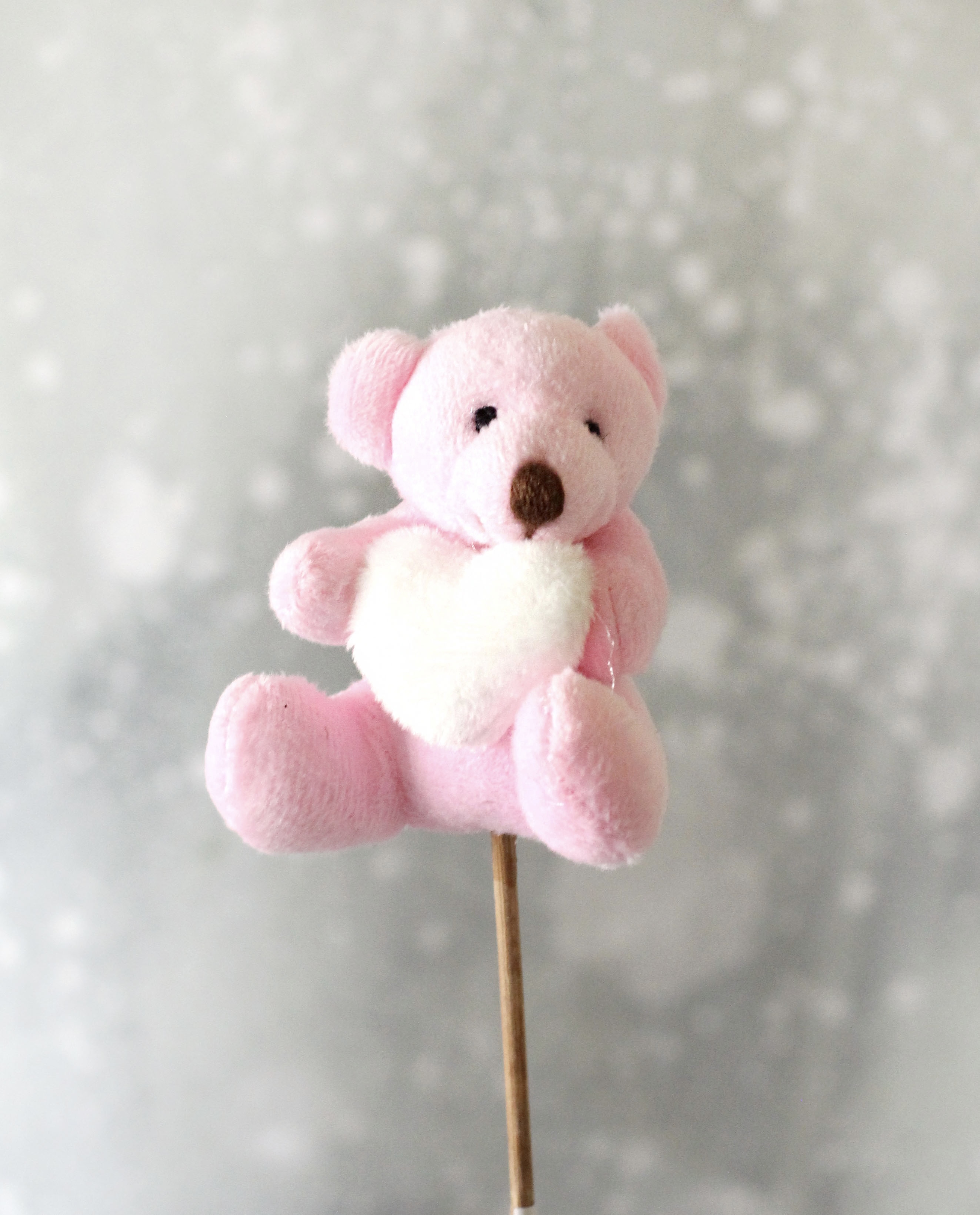 Pink Teddy