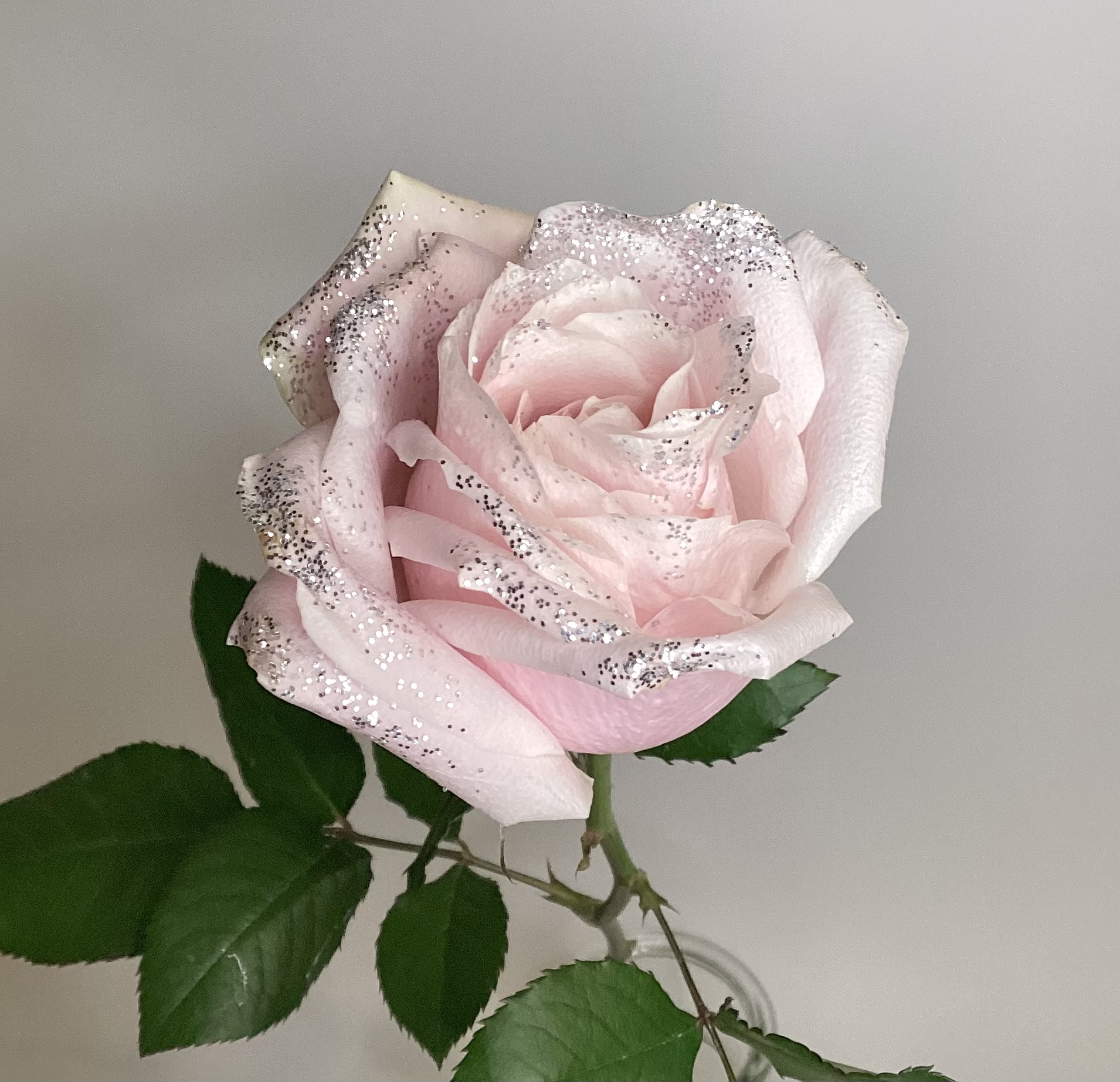 Biodegradable glitter