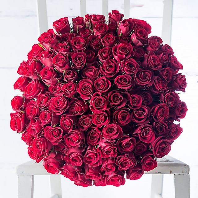 100 Red Roses