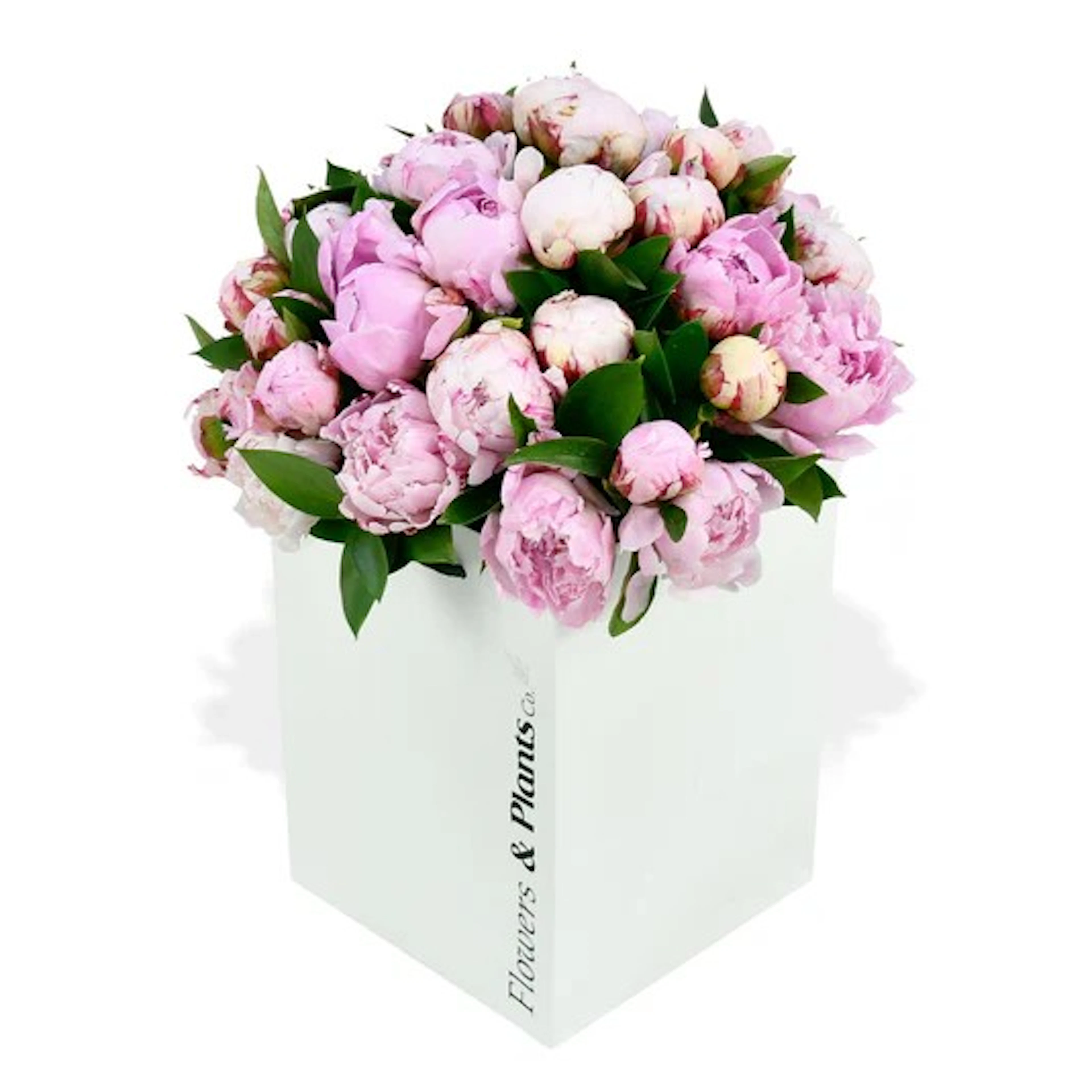 Original by Flowers & Plants Co — flowers available for delivery from Floom