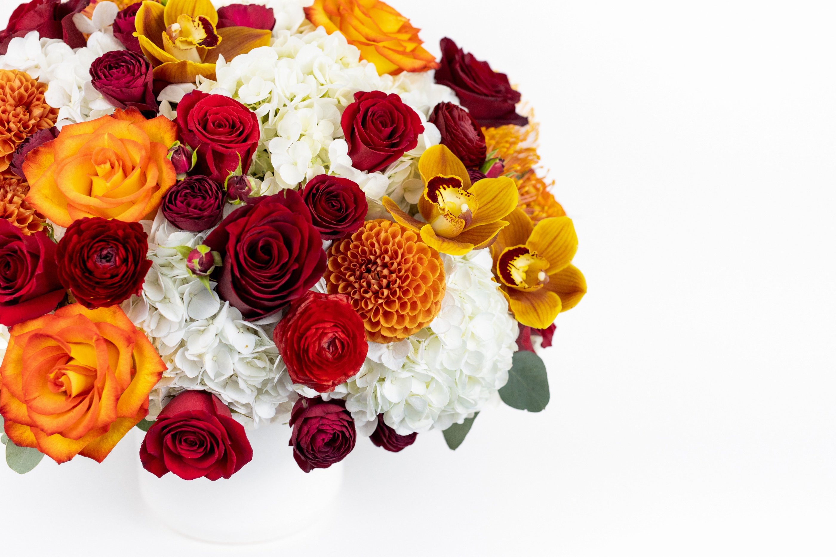 Scarlet Joy original