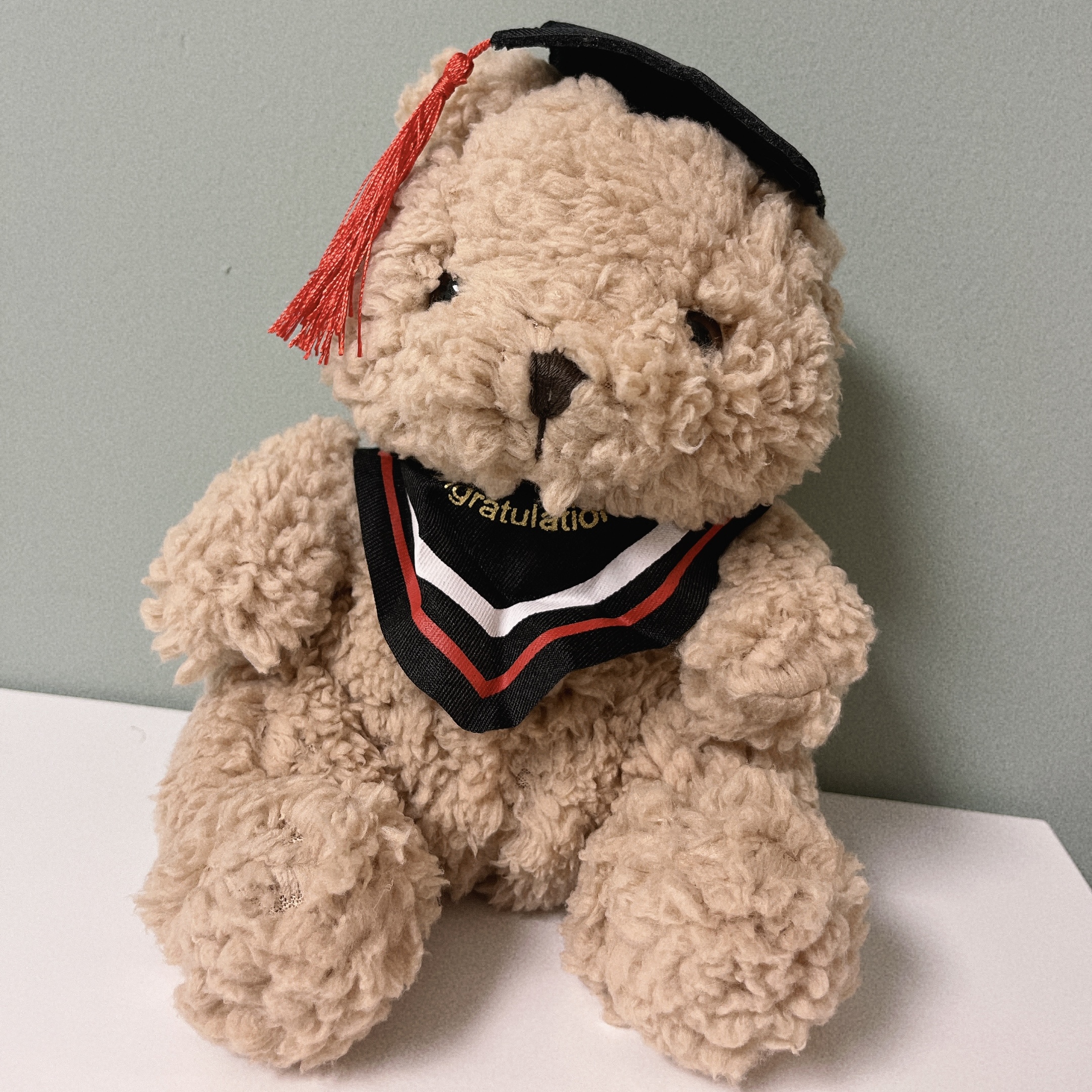 Red Graduation Bear