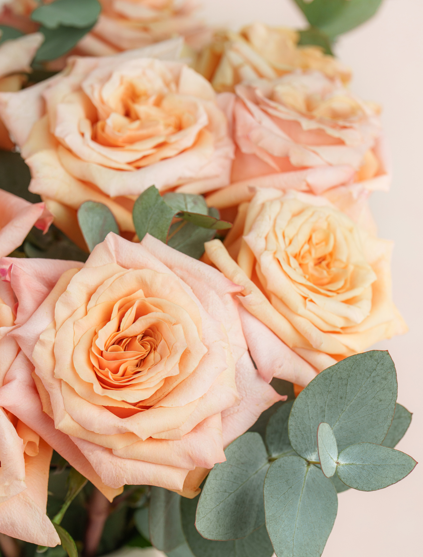 Original by Ode a La ROSE- Chicago  — flowers available for delivery from Floom