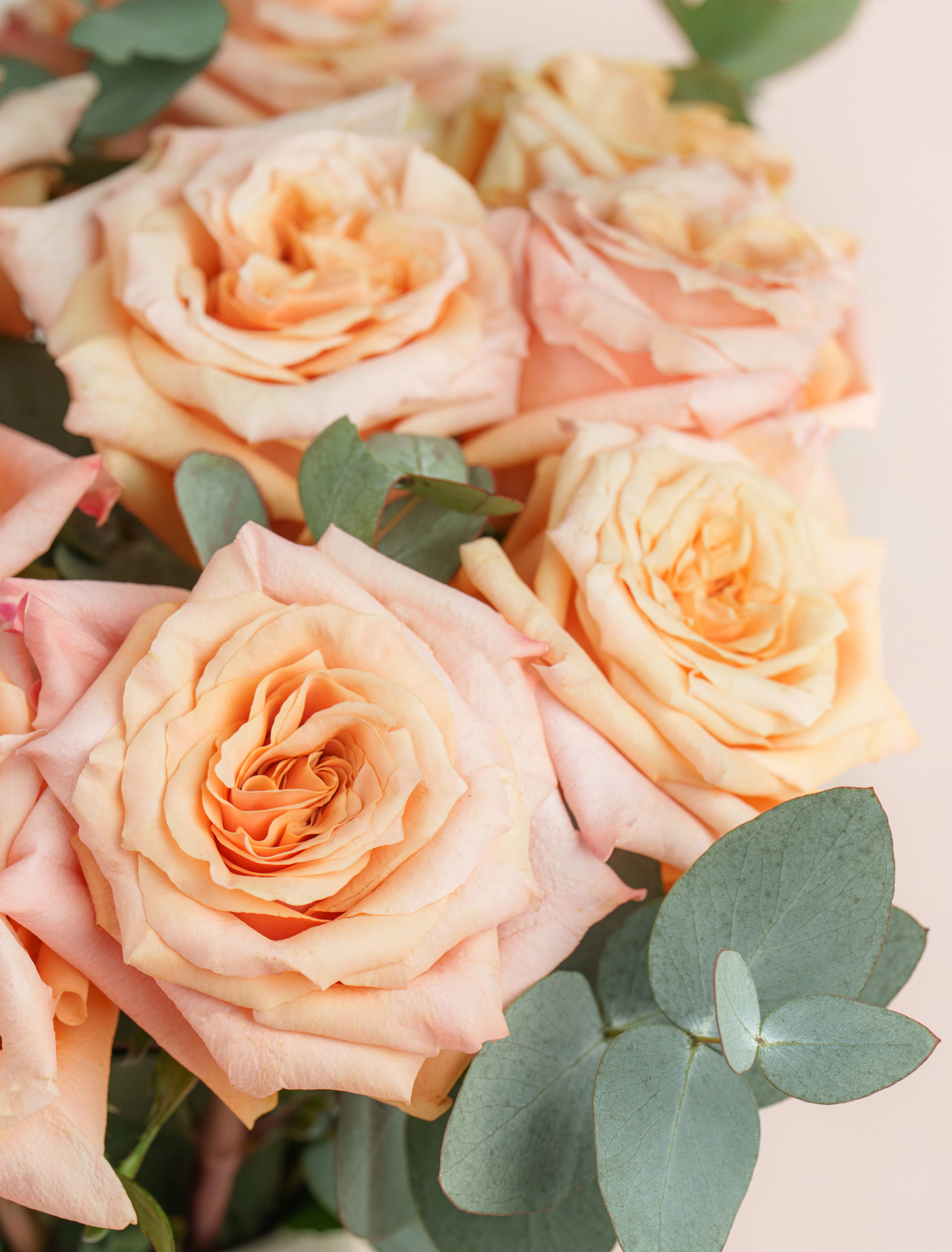Original by Ode a La ROSE- Chicago — flowers available for delivery from Floom