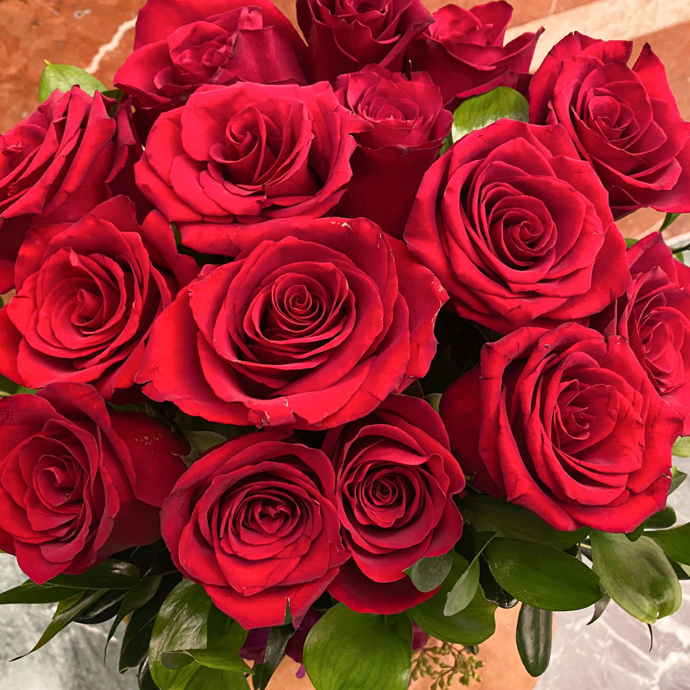 One Dozen Roses