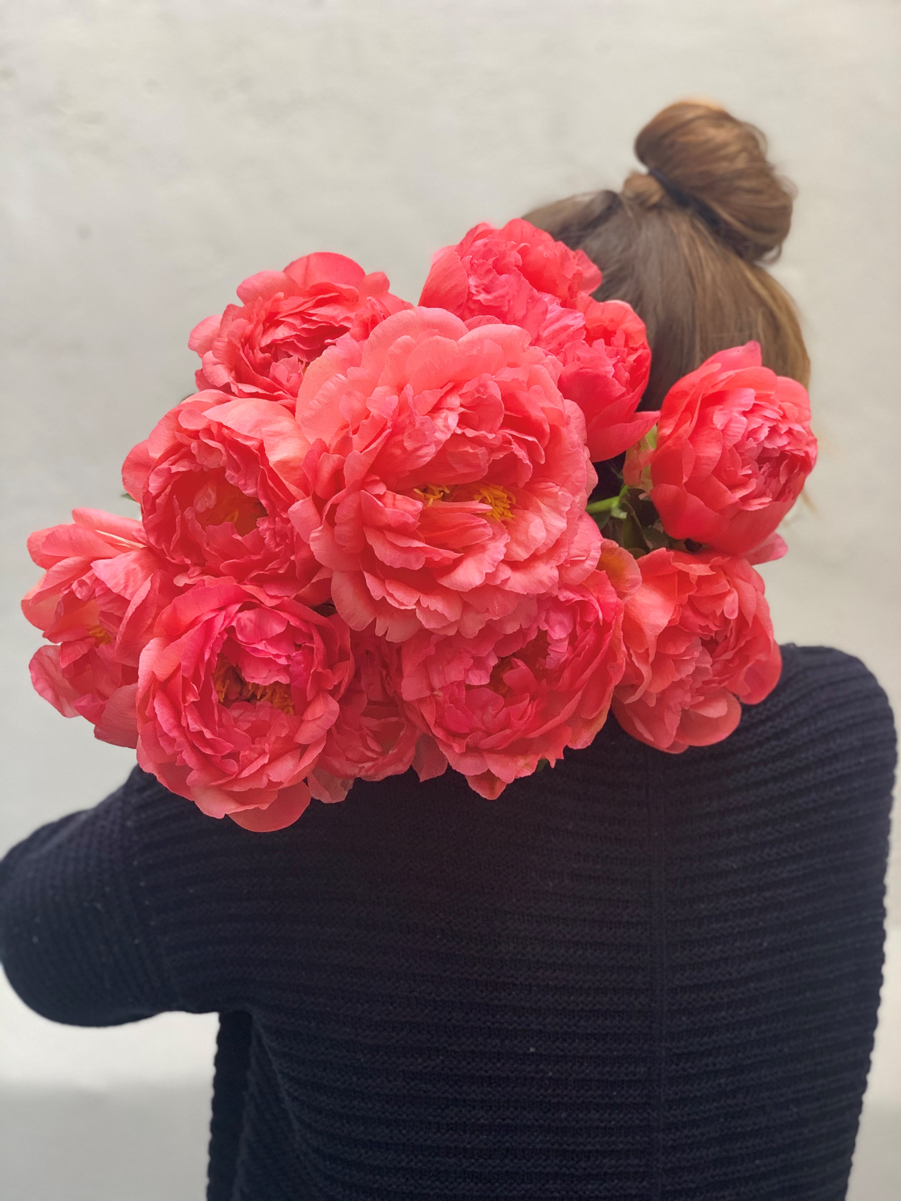 Coral Peonies