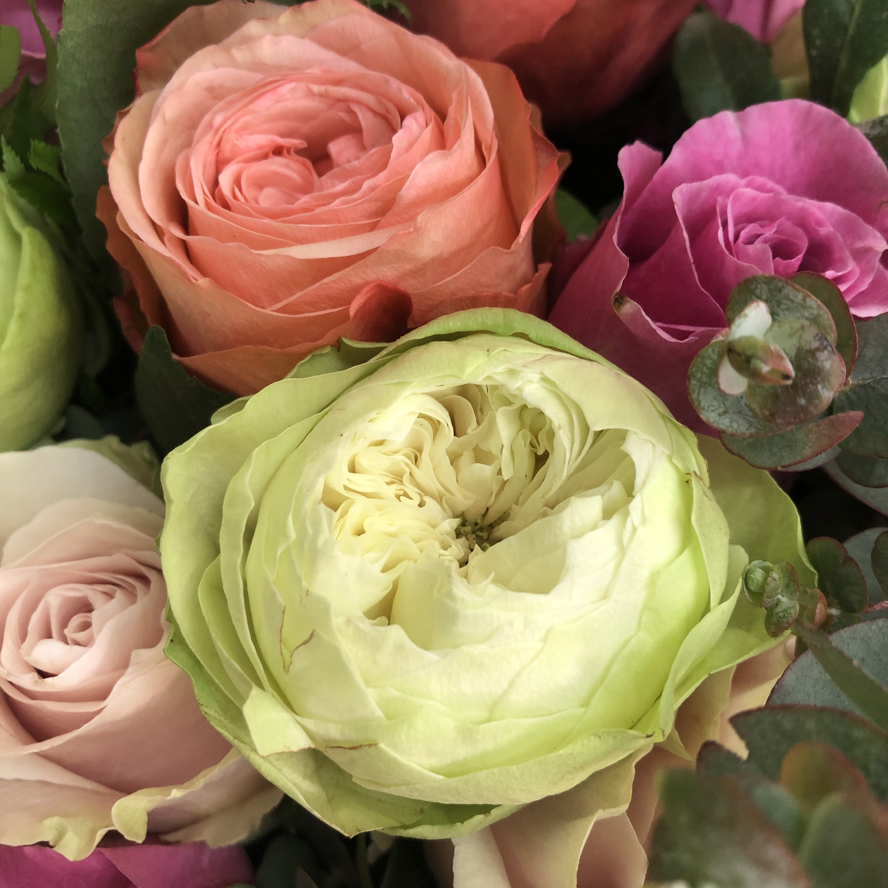 3 Dozen Mixed Roses original