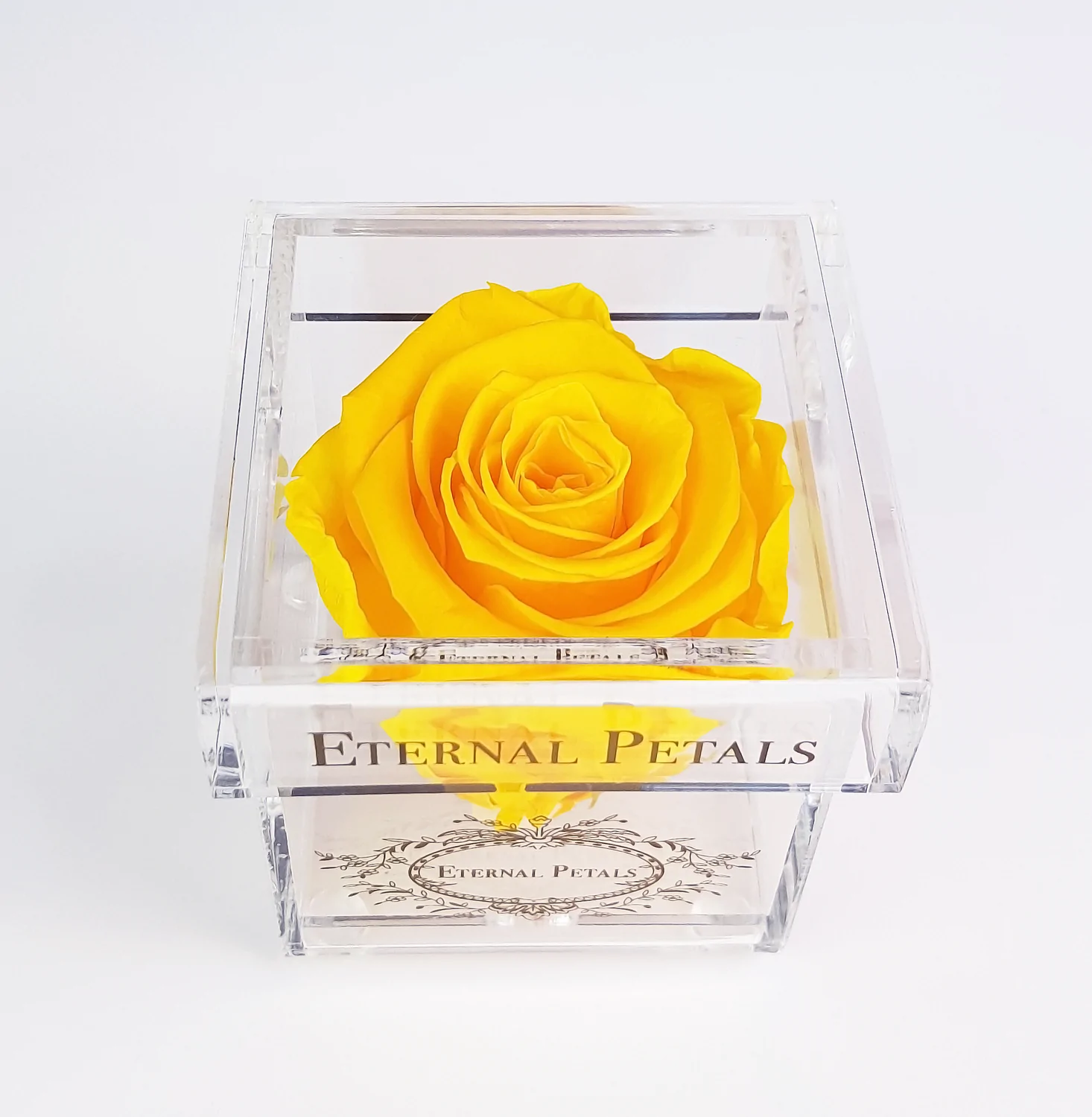Eternal Rose Yellow