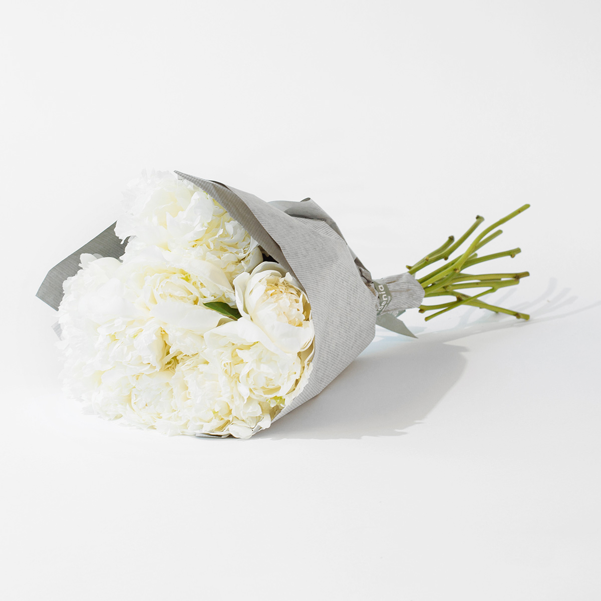 White Peonies original
