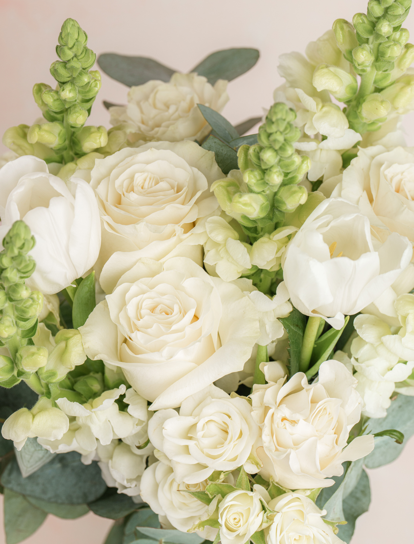 Paulette by Ode a La ROSE- Chicago  — flowers available for delivery from Floom