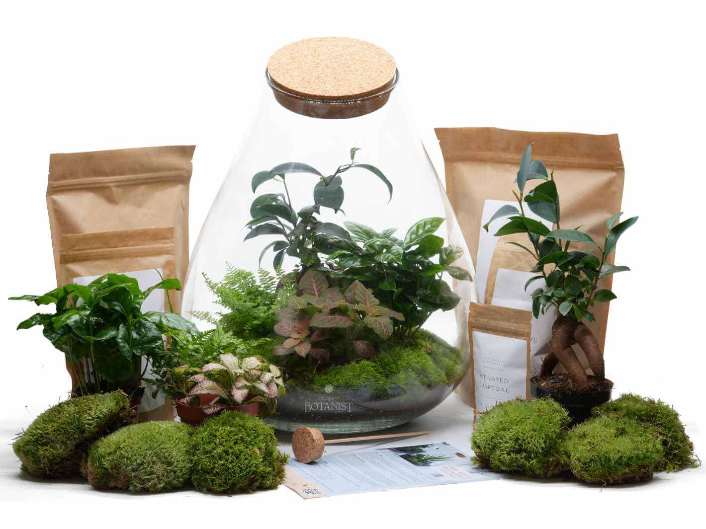 DIY Terrarium Kit H43