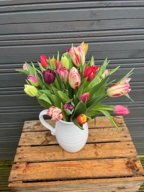 Tulip Jug