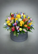 Bloom