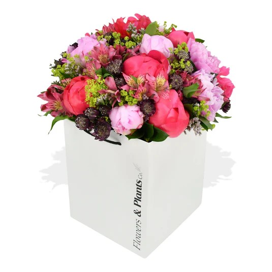 Original by Flowers & Plants Co — flowers available for delivery from Floom