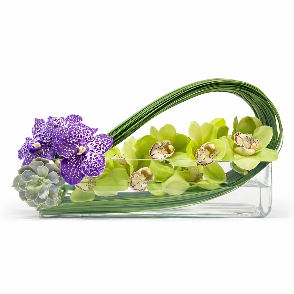 Cymbidium Long Wave