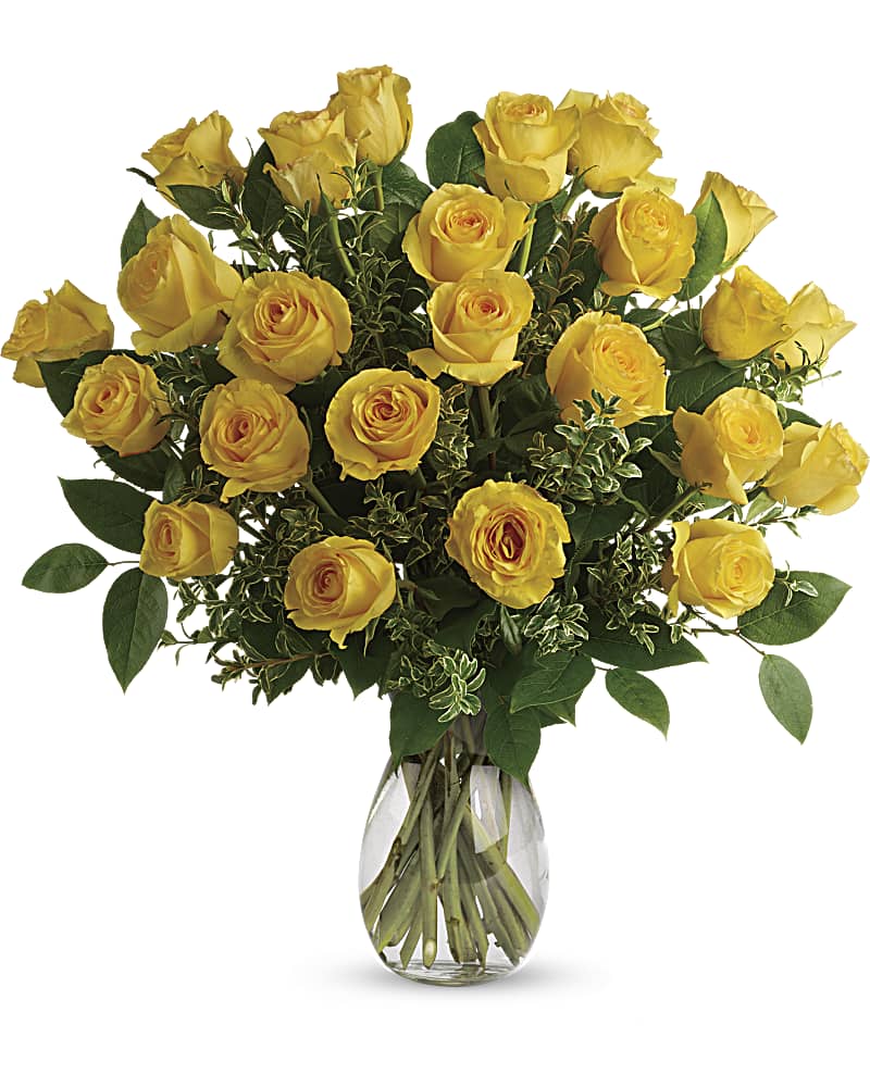 Yellow Roses