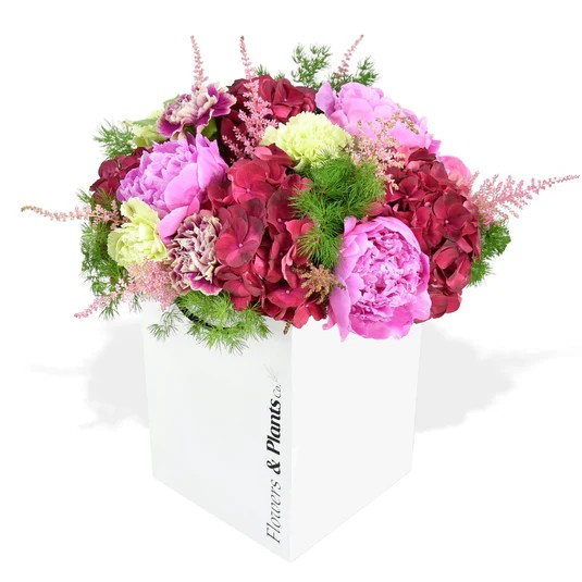 Original by Flowers & Plants Co — flowers available for delivery from Floom