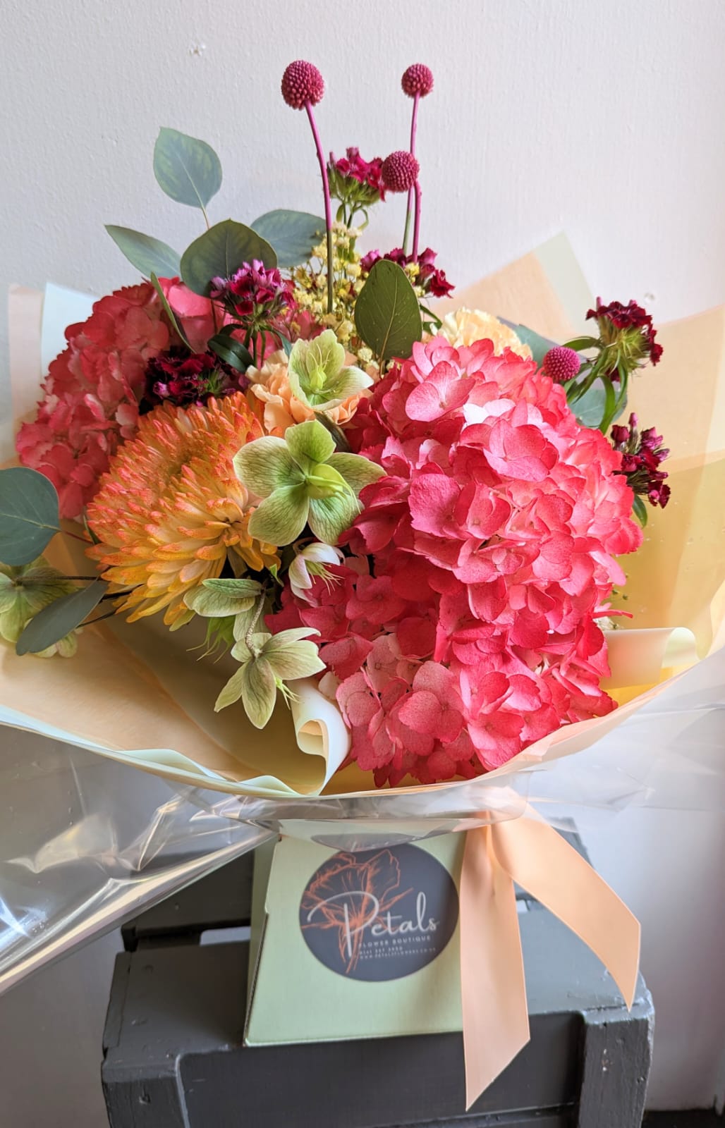 Bright and Beautiful