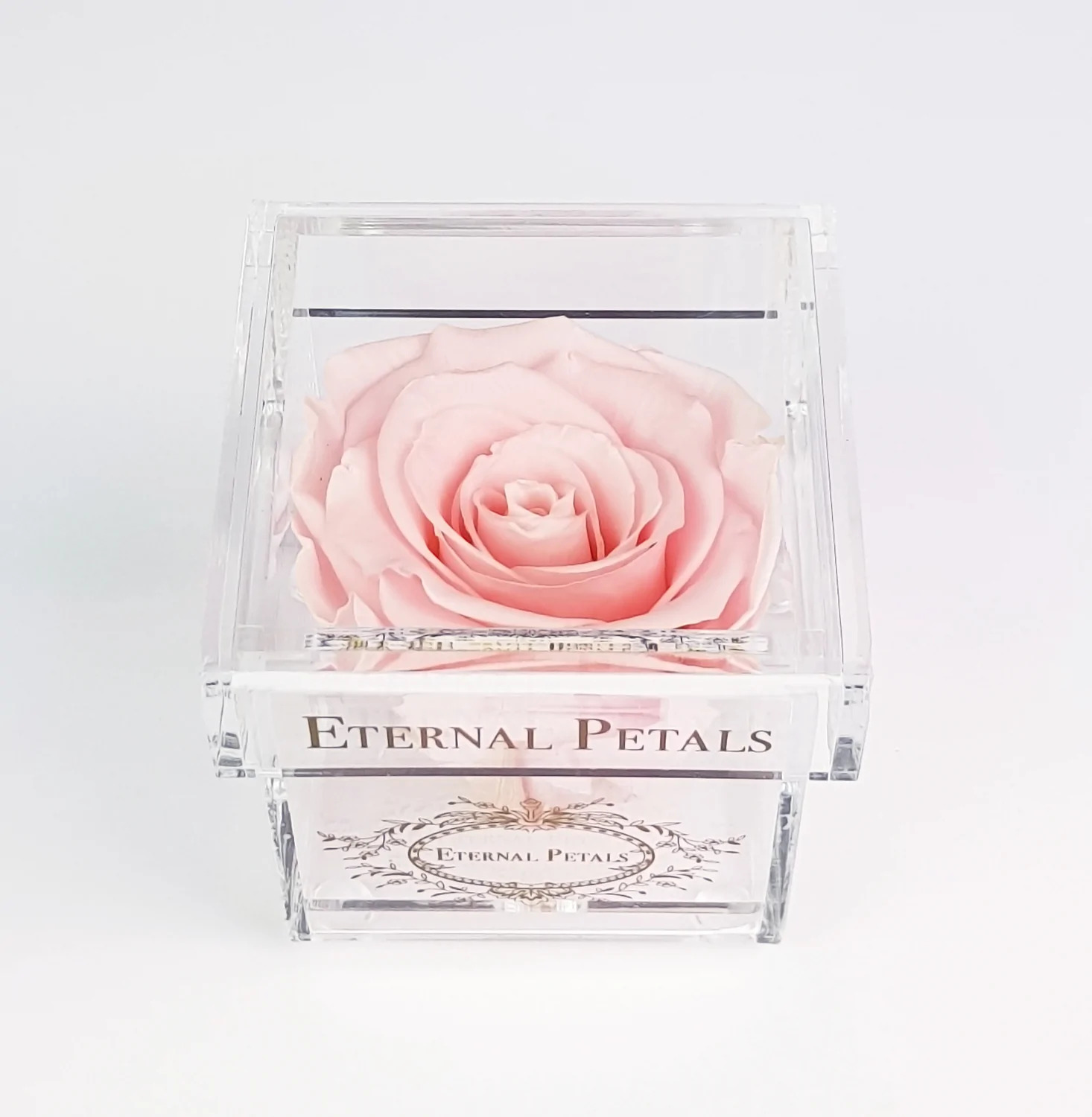 Eternal Rose Pink