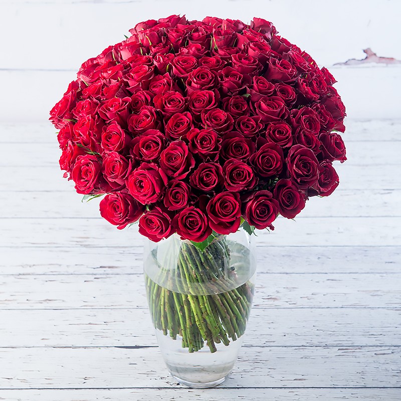 100 Red Roses