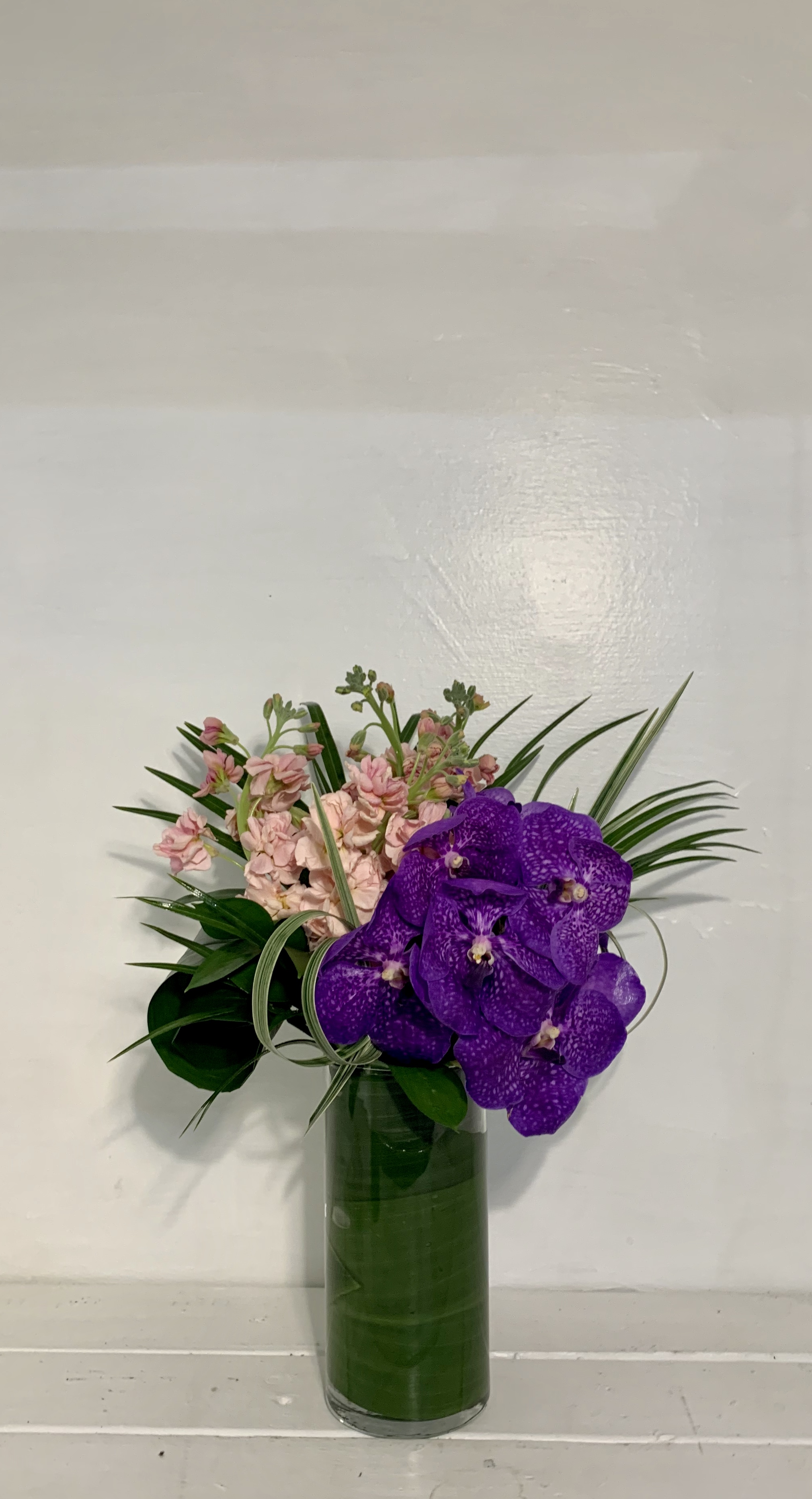 Vanda Me
