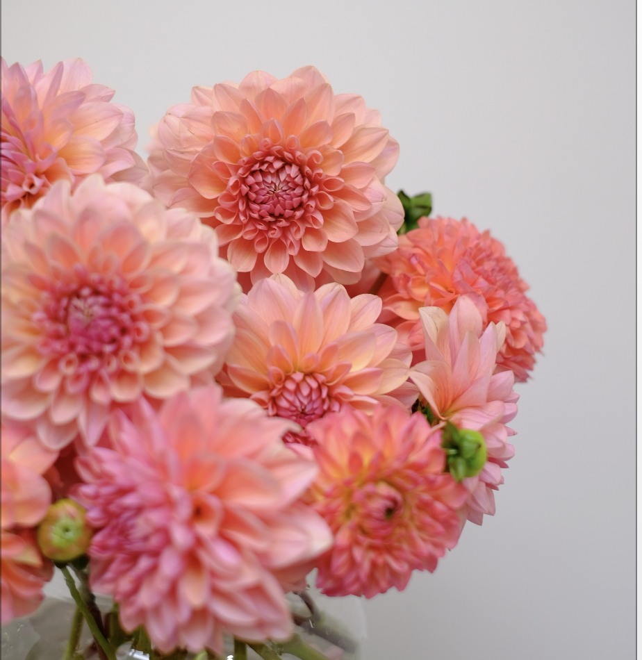 Original by Orchidya — flowers available for delivery from Floom