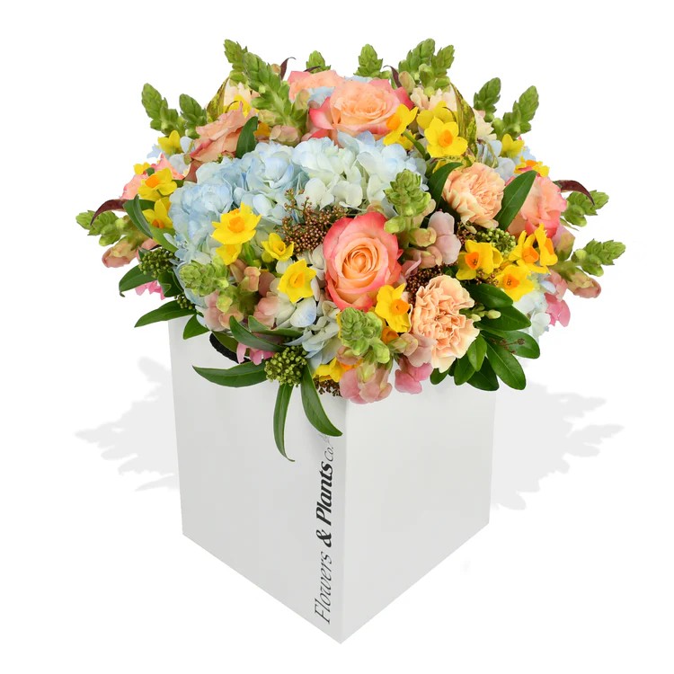 Original by Flowers & Plants Co — flowers available for delivery from Floom