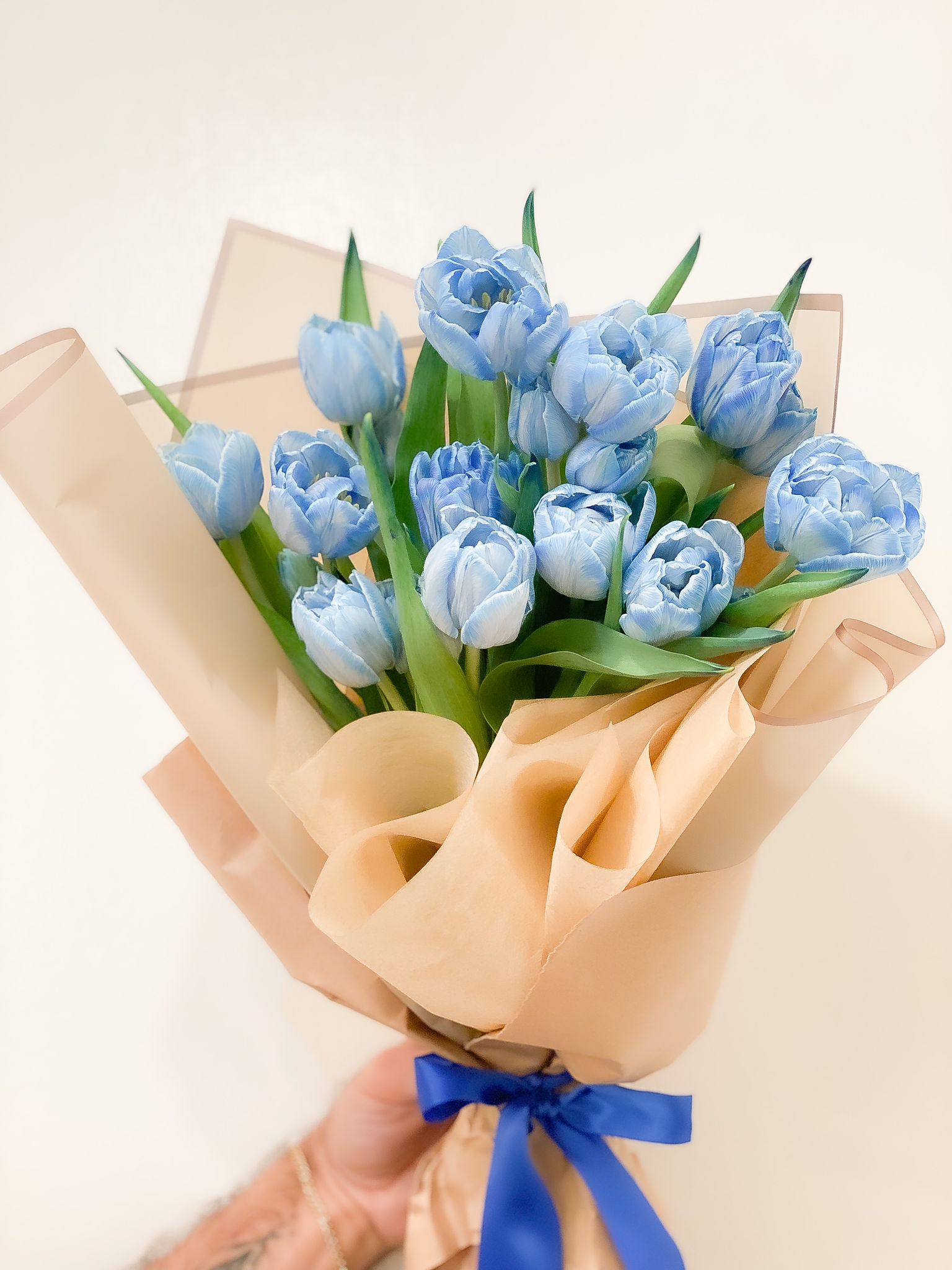 Blue Tulips