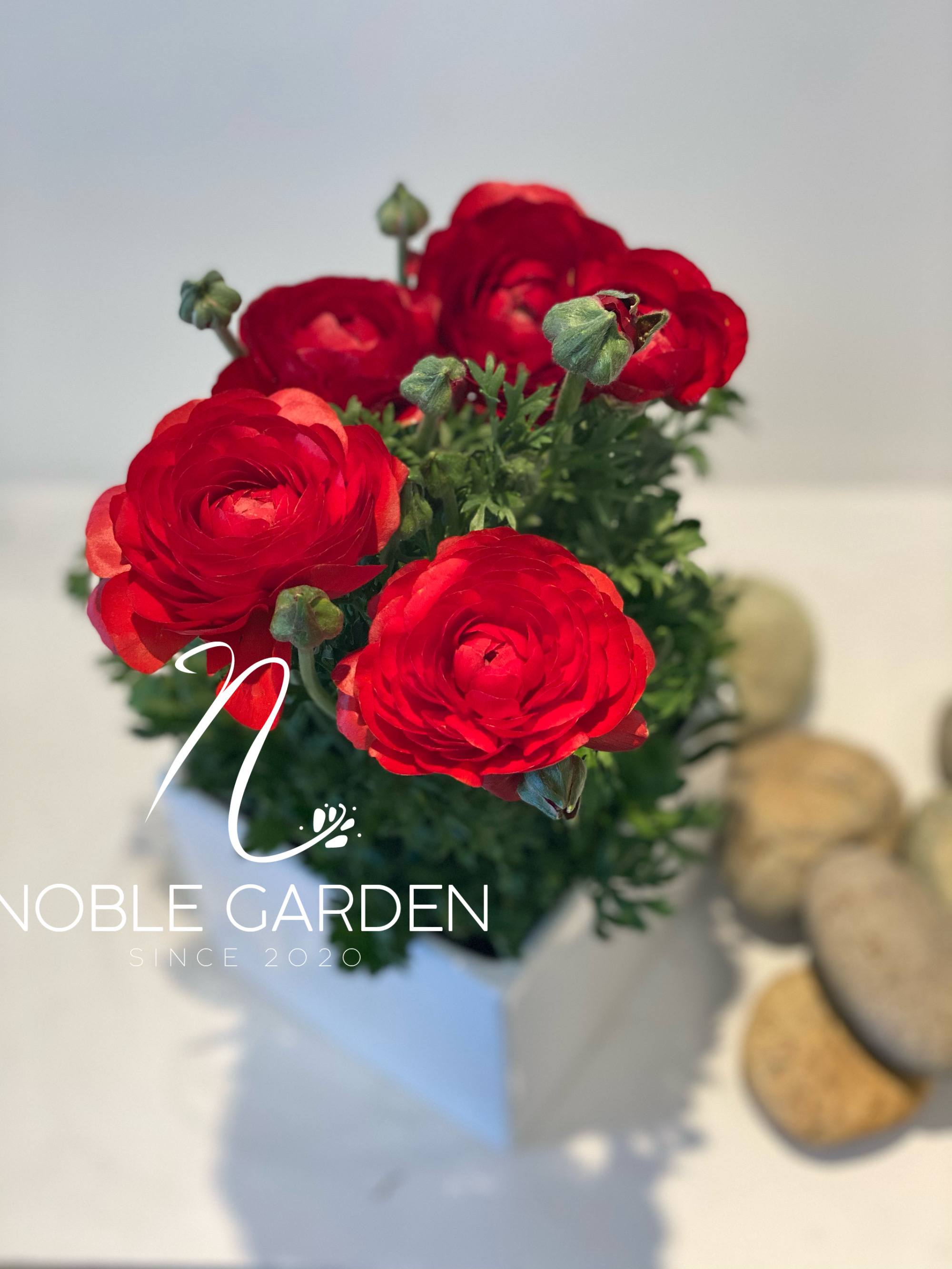 Original by Noble Garden — flowers available for delivery from Floom
