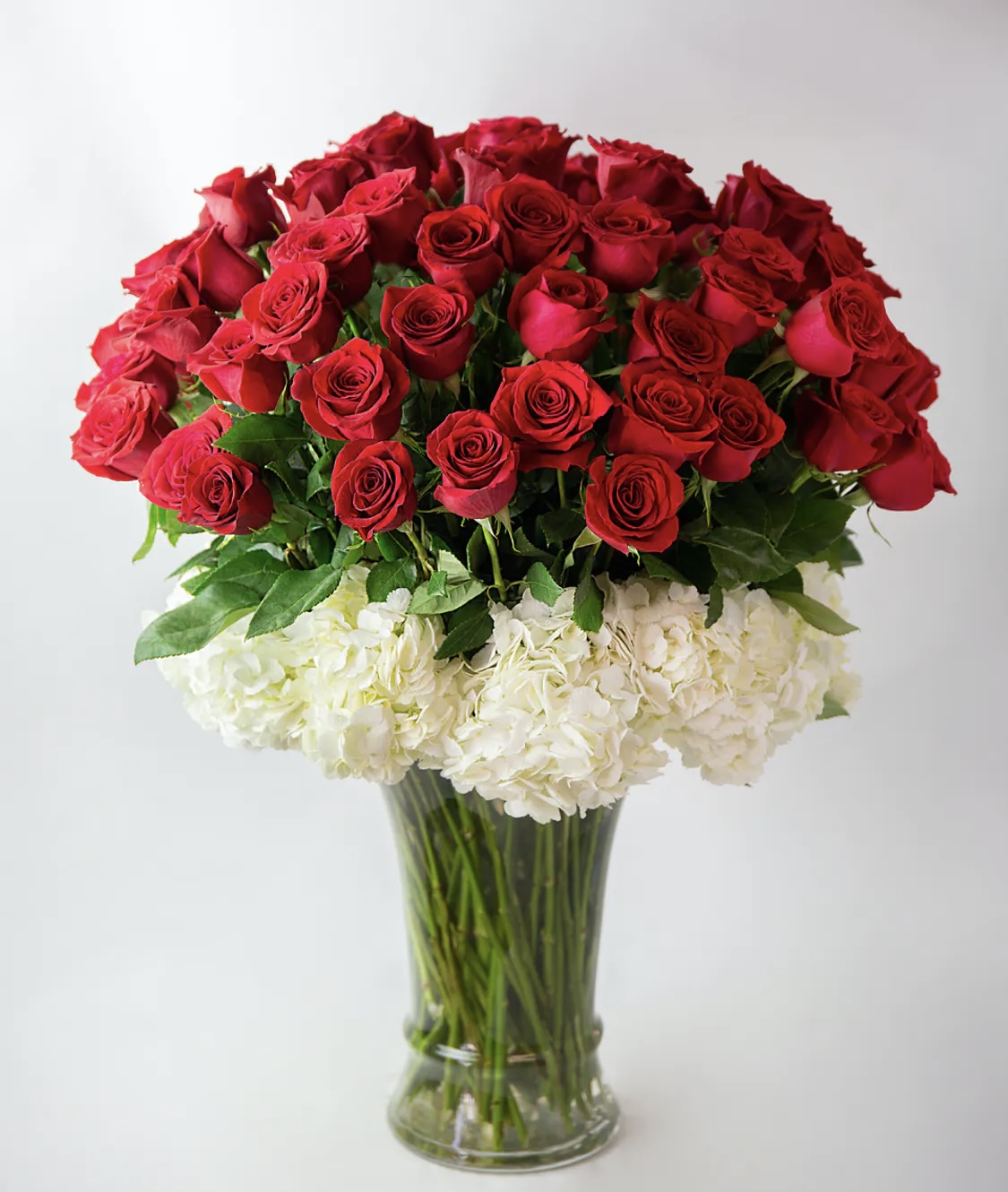 75 luxury roses