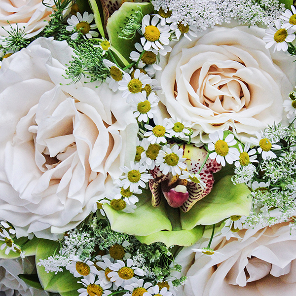 Morning Star original