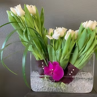 Modern tulips