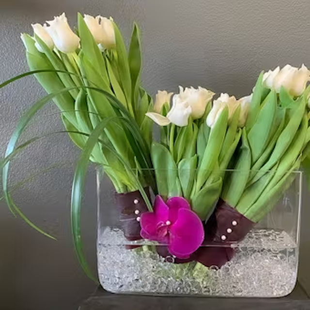 Modern tulips