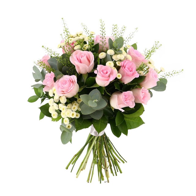 Soft Pink Country