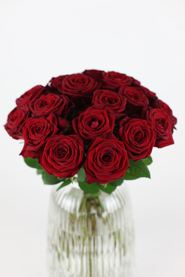 Valentines Dozen