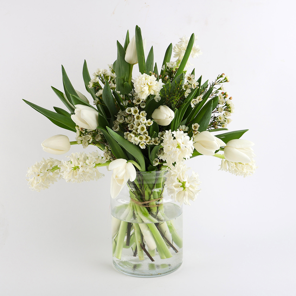 HYACINTH & TULIP