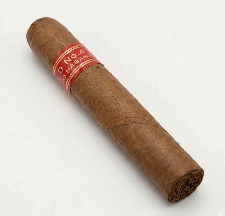 Cigar by Olympia Flowers — flowers available for delivery from Floom