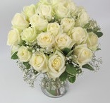 Classic Ivory Roses