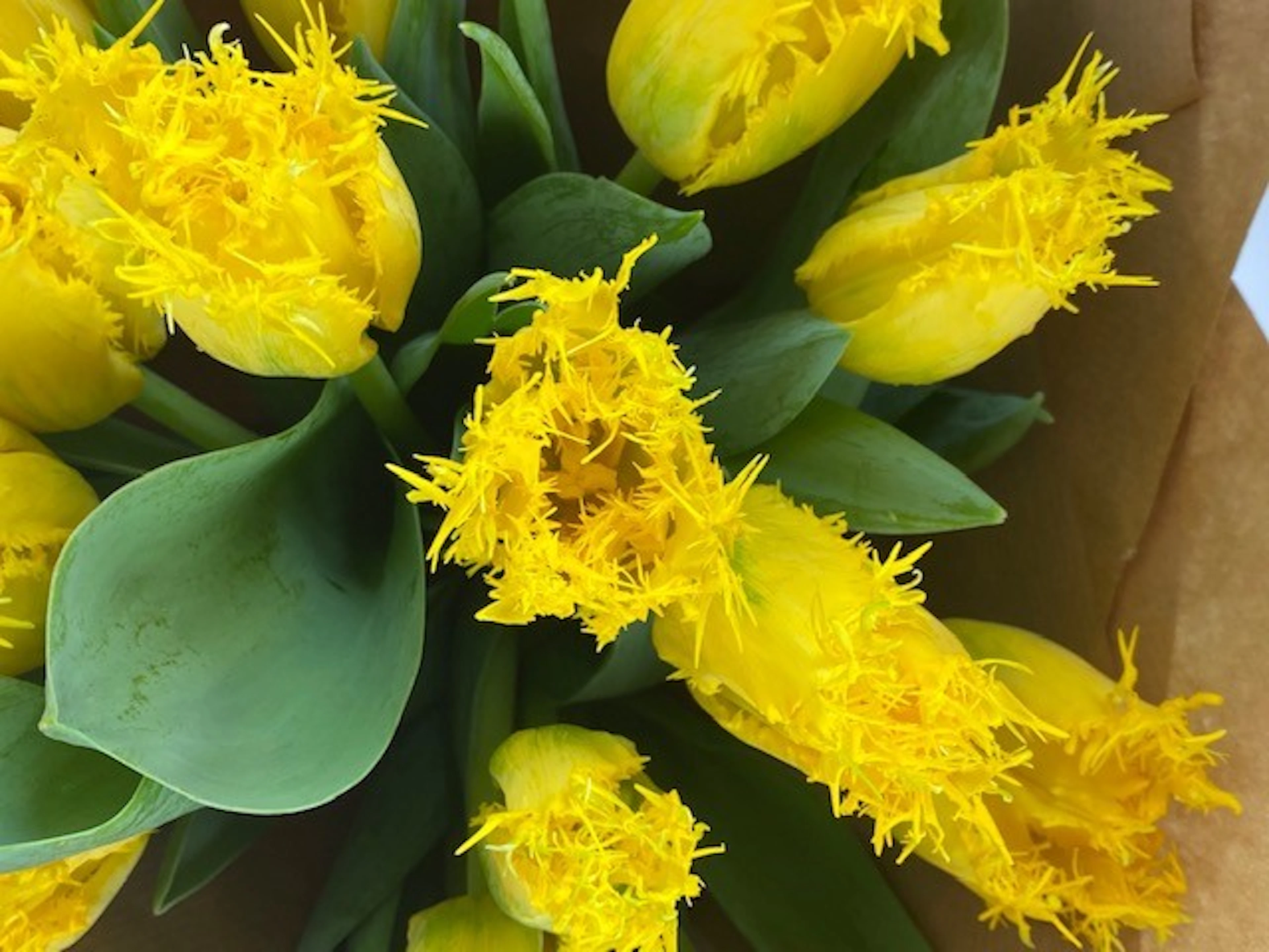 The Joyful Bouquet by Cora Louise — flowers available for delivery from Floom