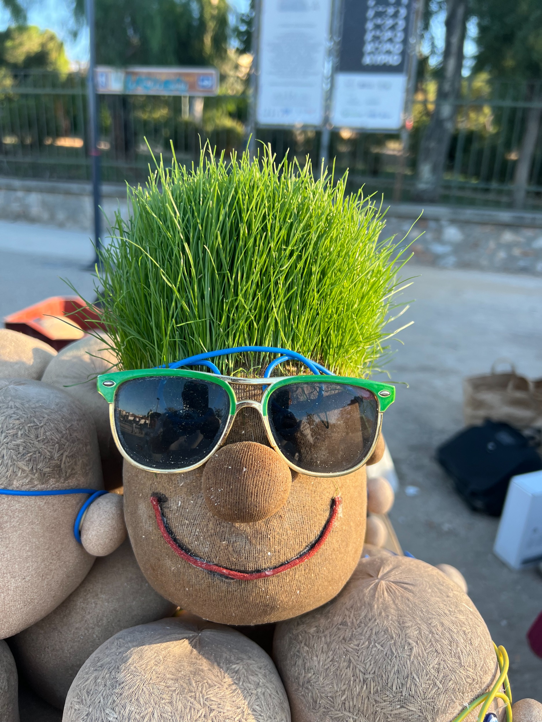Grass Head