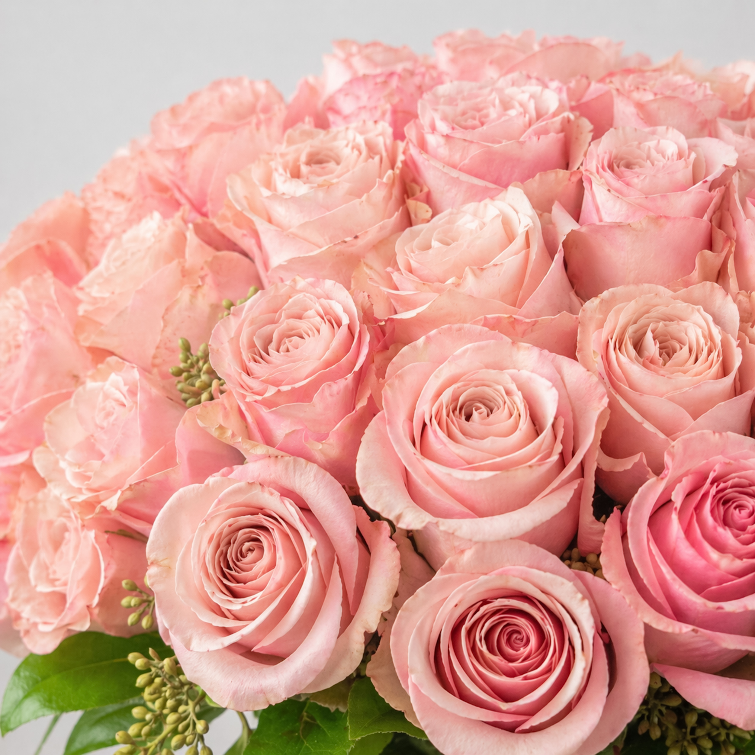 Antique Blush Pavé