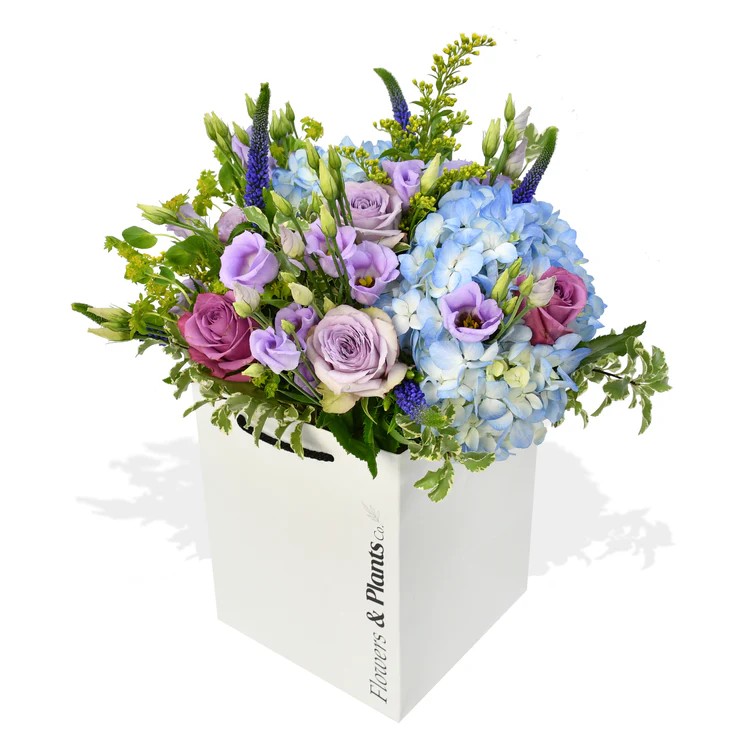Original by Flowers & Plants Co — flowers available for delivery from Floom