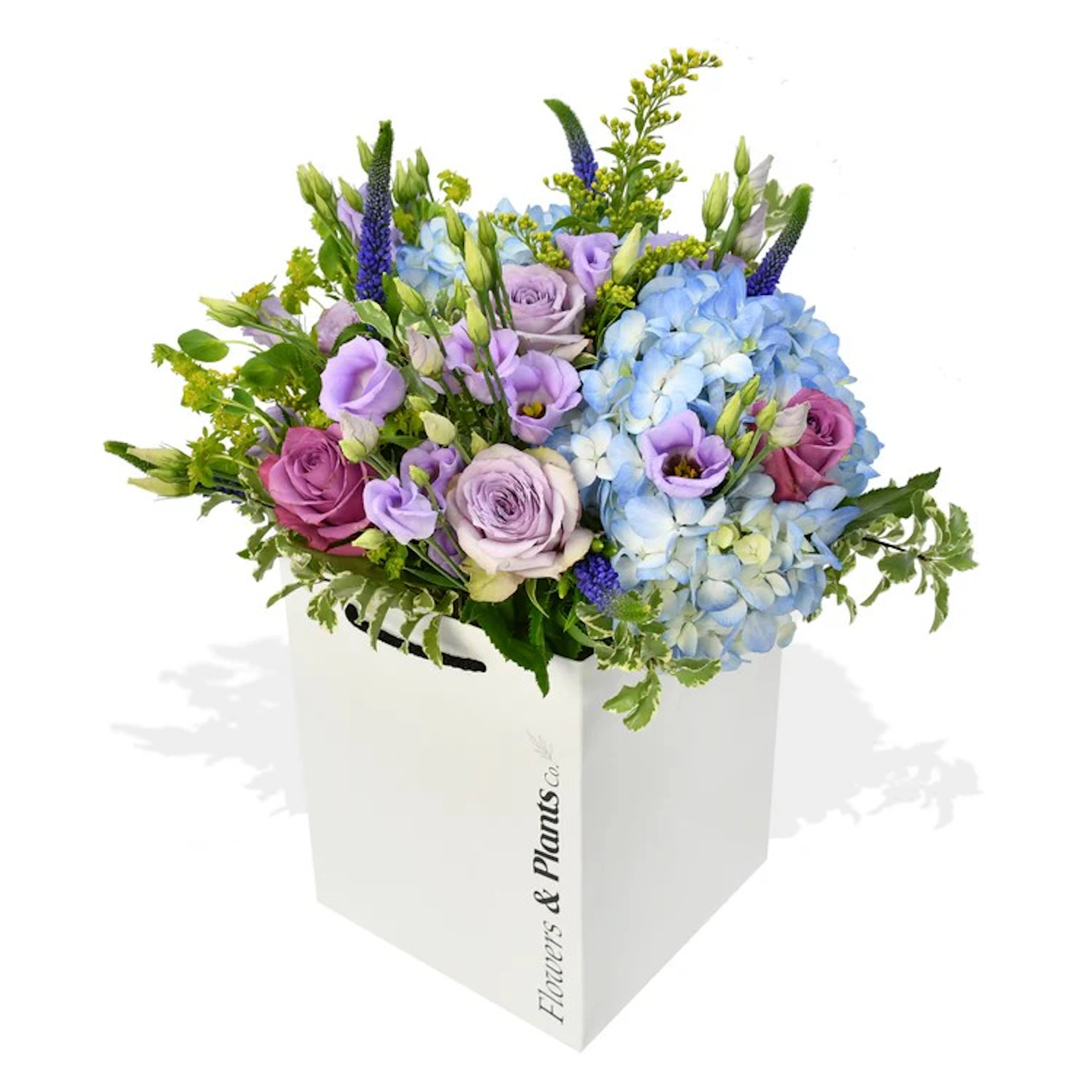 Original by Flowers & Plants Co — flowers available for delivery from Floom