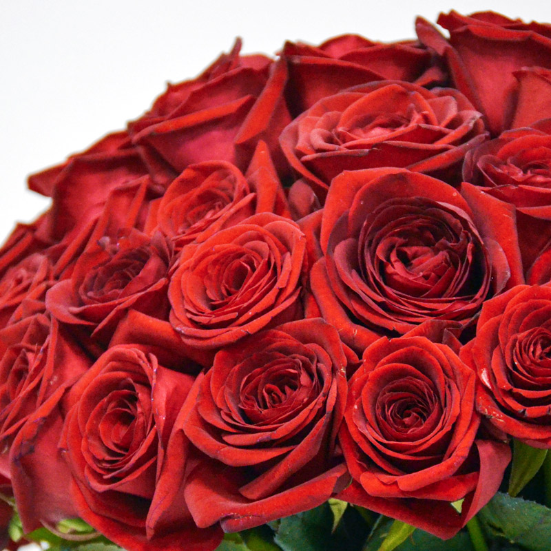 Long Stem Red "Naomi"