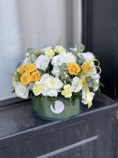 No.723 - summer vibes