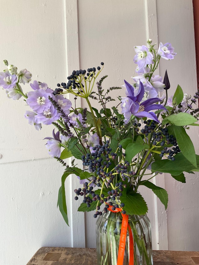 Heliotrope