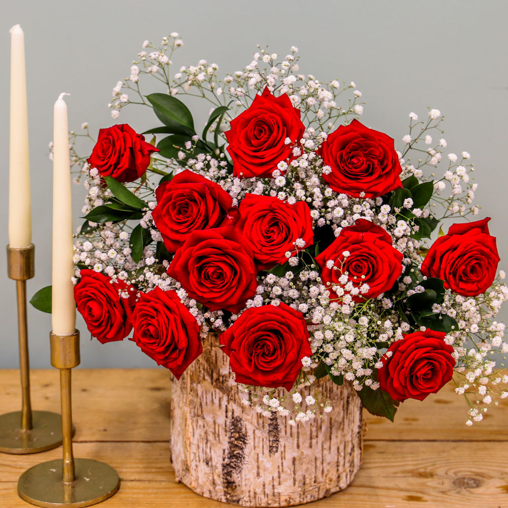 12 LS Red Roses & Gyp